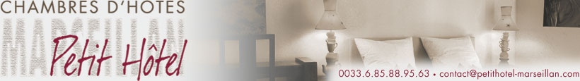 Logo Petit Hotel