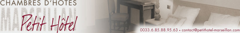 Logo Petit Hotel