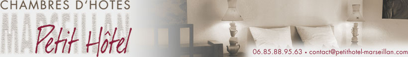 Logo Petit Hotel