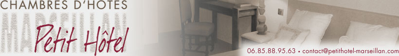Logo Petit Hotel